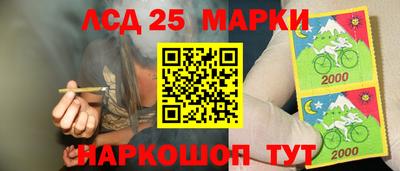 PSILOCYBIN Ирбит