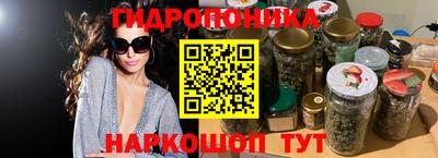 PSILOCYBIN Ирбит